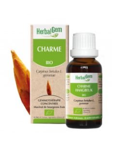 Charme (Carpinus betulus) bourgeon BIO, 15 ml